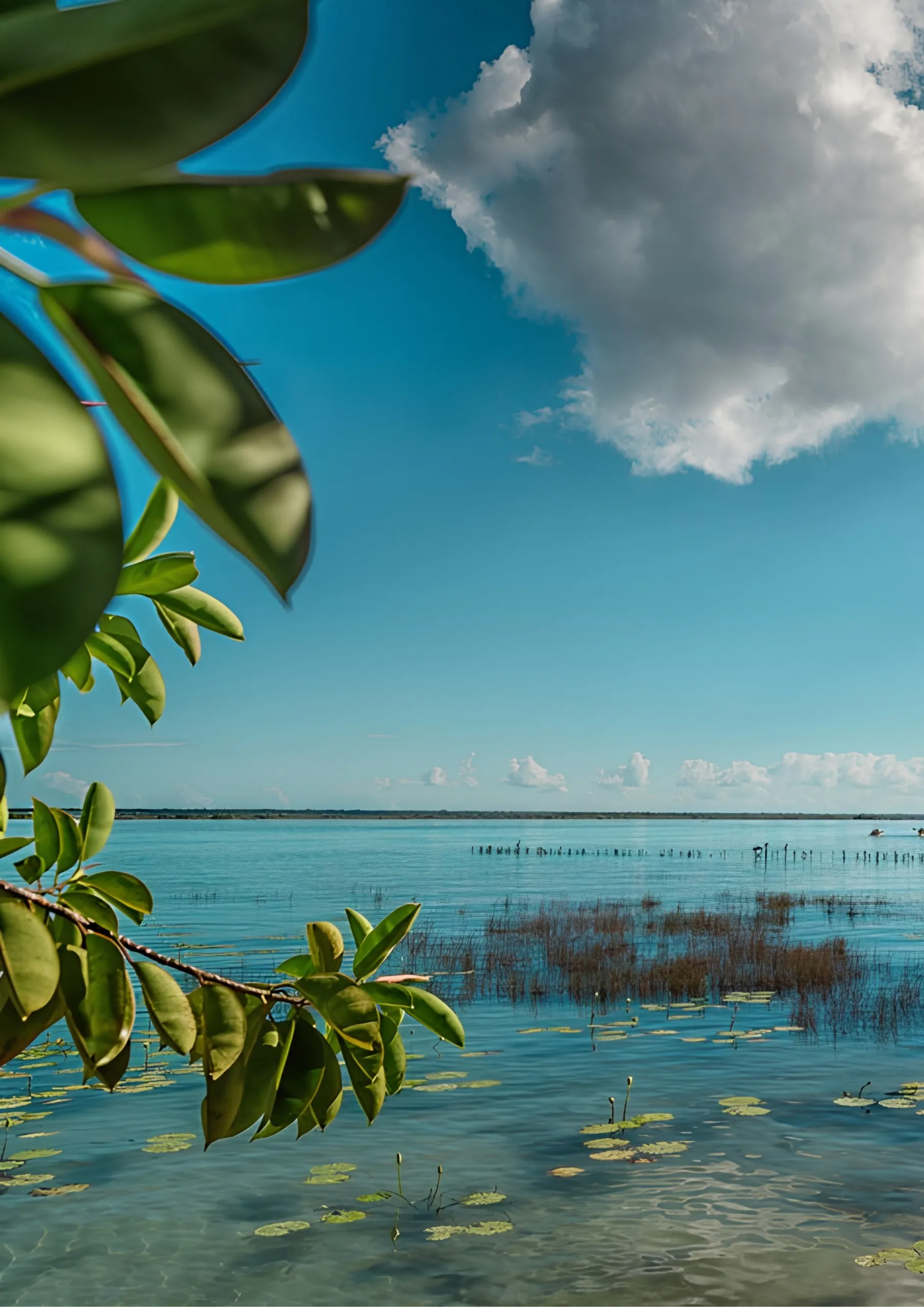 Luxury hospitality and strategic travel representation in Latin America